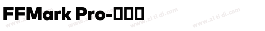 FFMark Pro字体转换